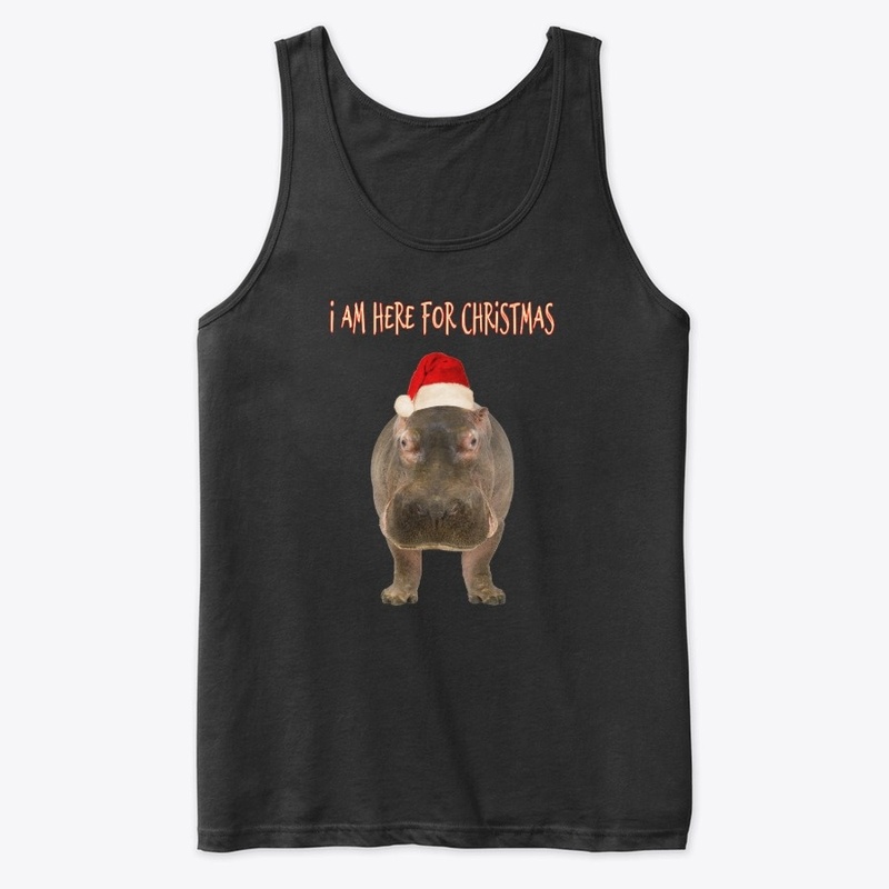 I am here for Christmas