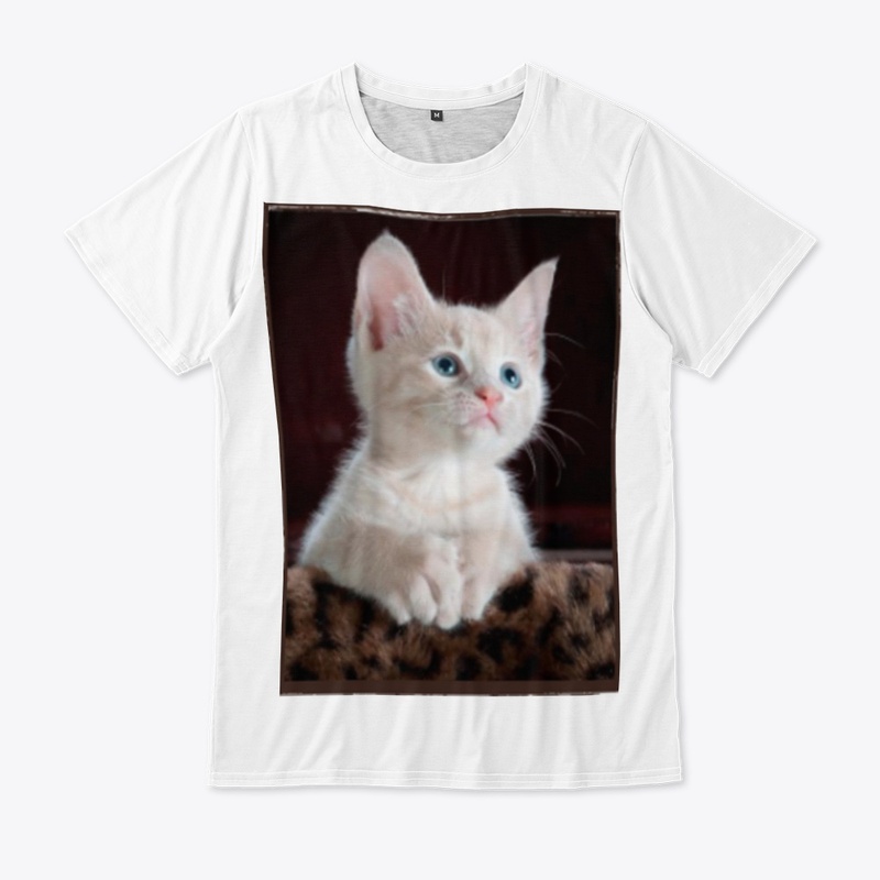 Cute little cat