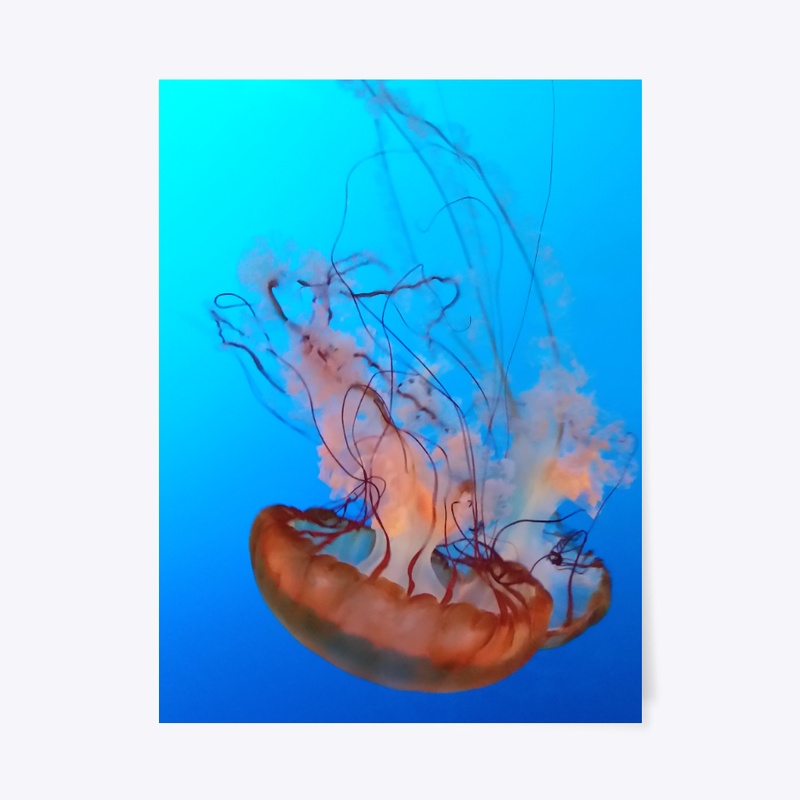 Under the sea
