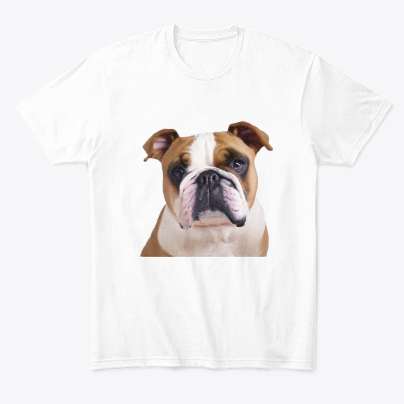 Dog bulldog sitting 