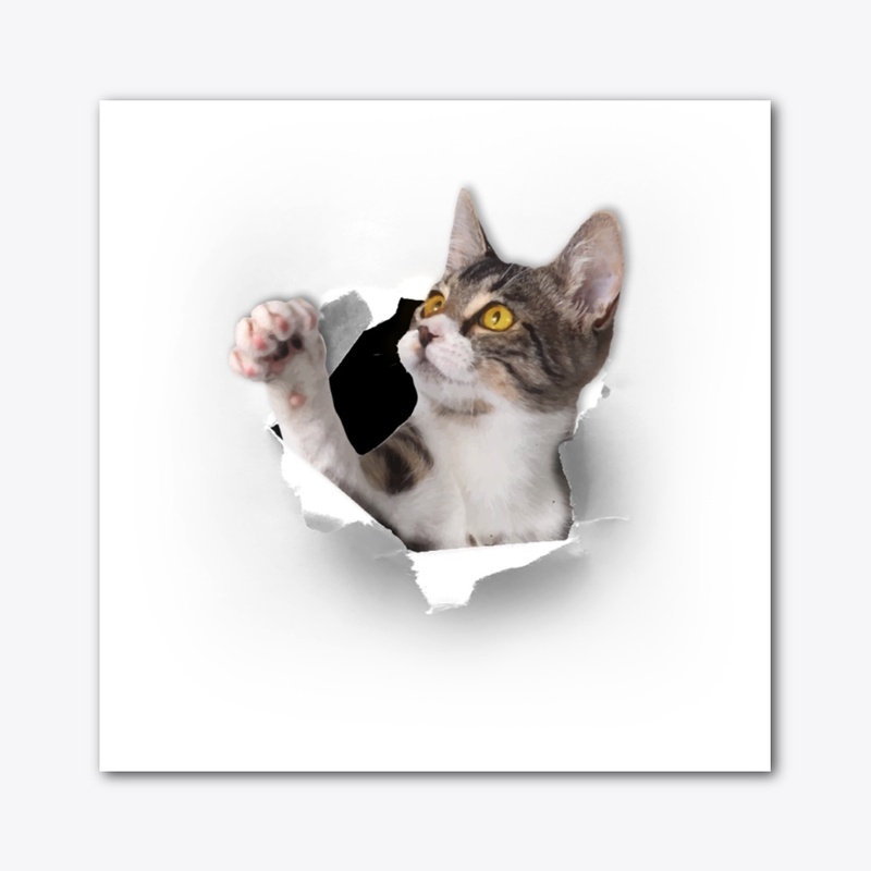 Cute cat poking through the shirt