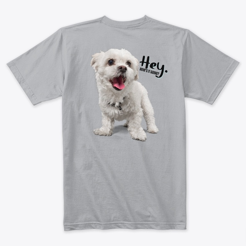 Dog lover-I am a faithful dog