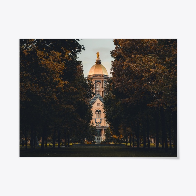 ND Autumn 1