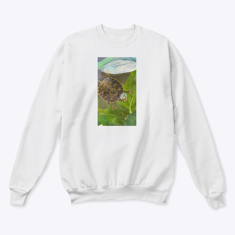 Turtle Vibes