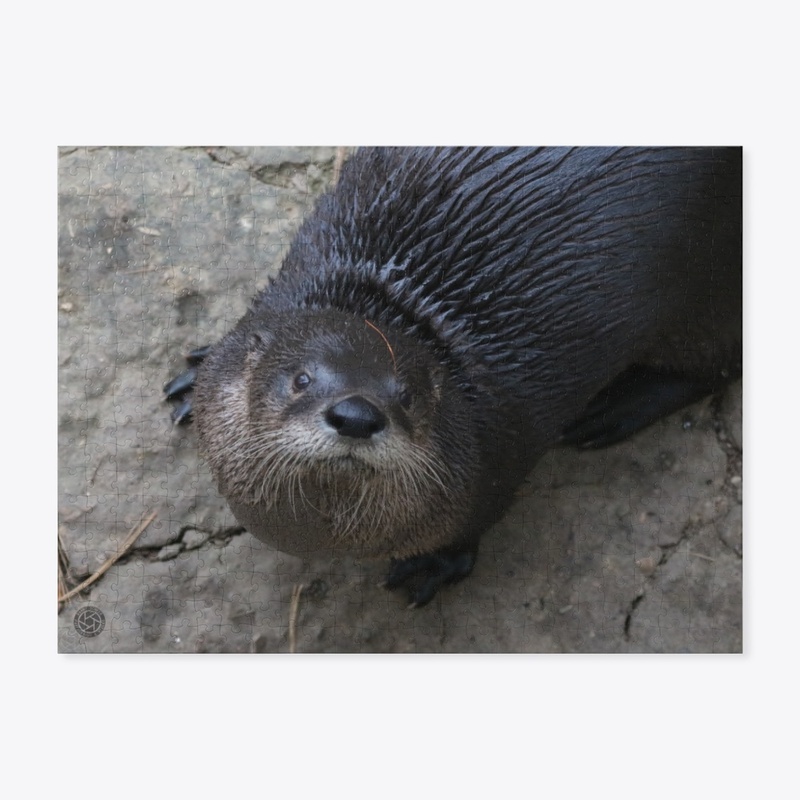 Otter 2