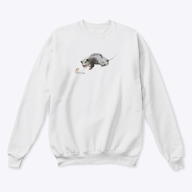 Opossum Mom & Rocket