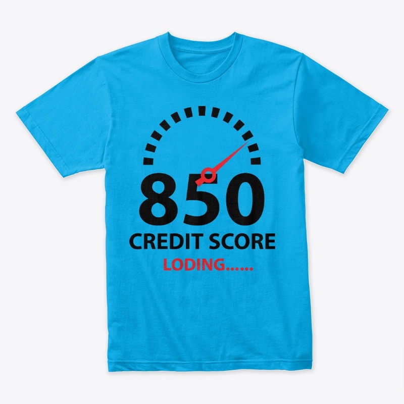 850 CREDIT SCORE