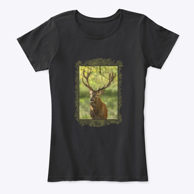 Pure Wildlife Lovers: Deer Bull