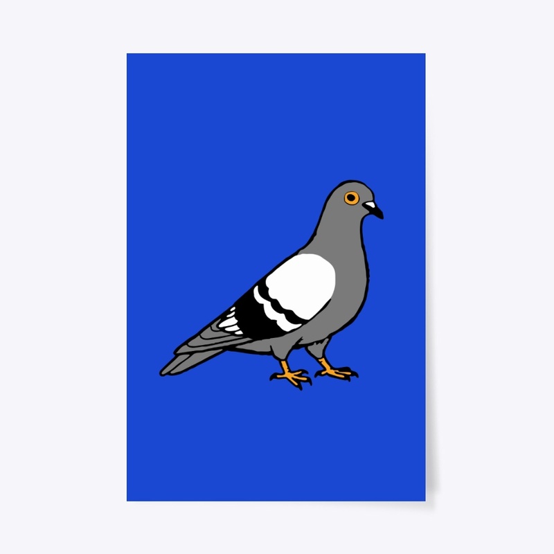 Pigeon 