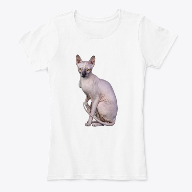 Kiss me chat