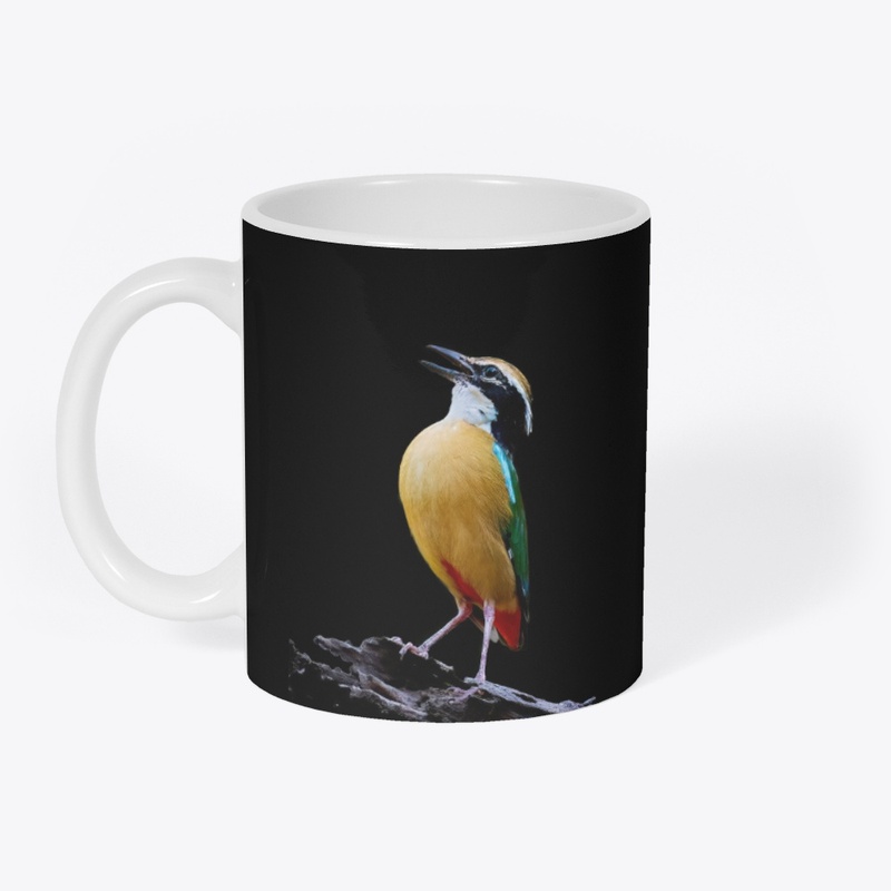 Indian Pitta