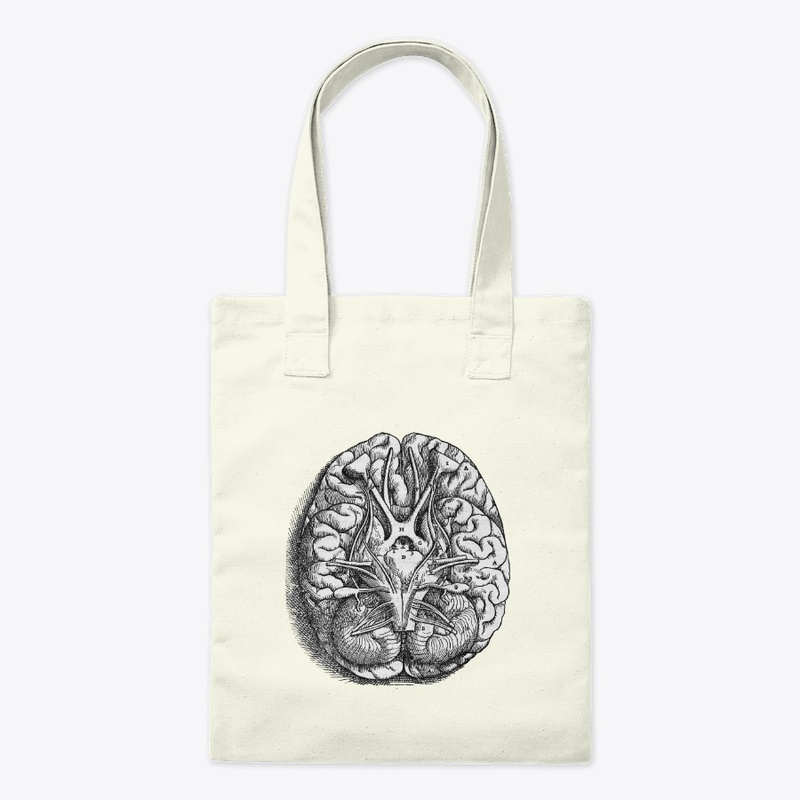 Brain Diagram