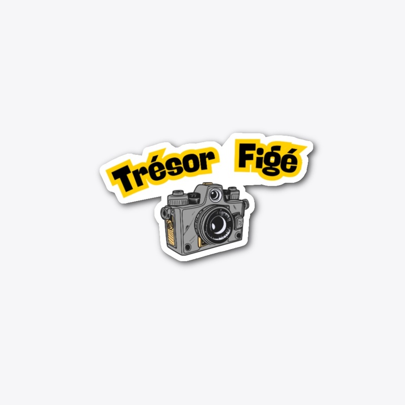 Trésor Figé  Retro Photography Design