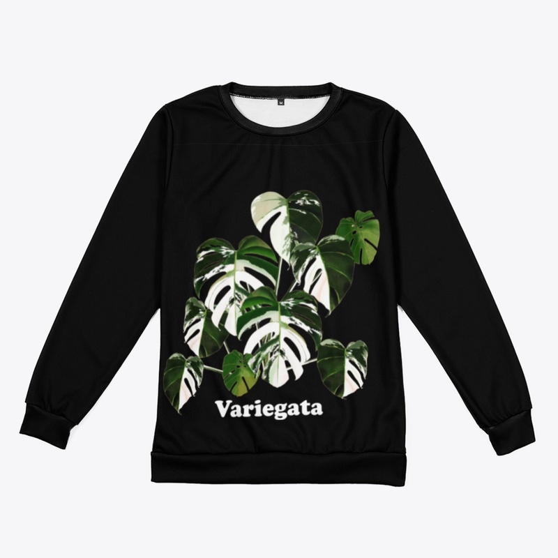 Variegata Monstera