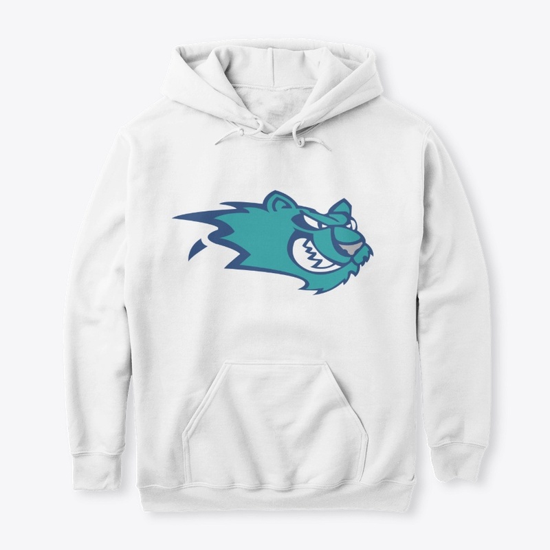 Worcester IceCats Hockey