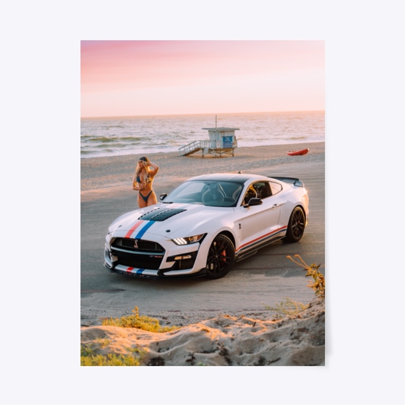 "Angles" 2020 Shelby GT500 Wall Art