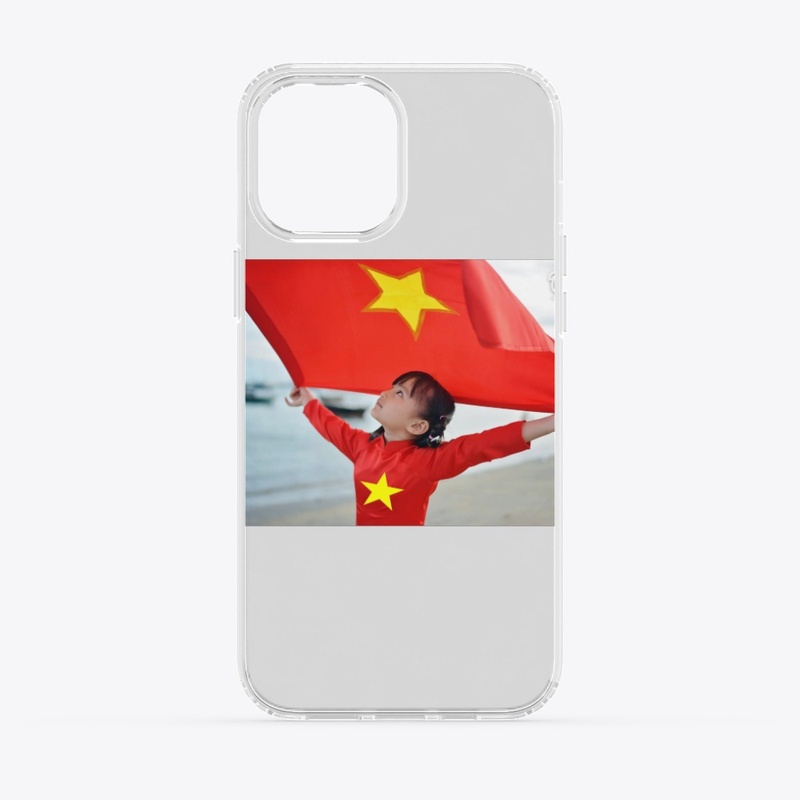 vietnam baby flag