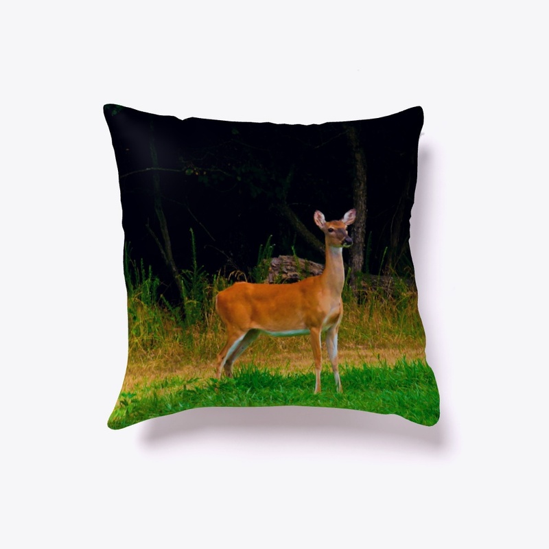 Young Doe In Summer