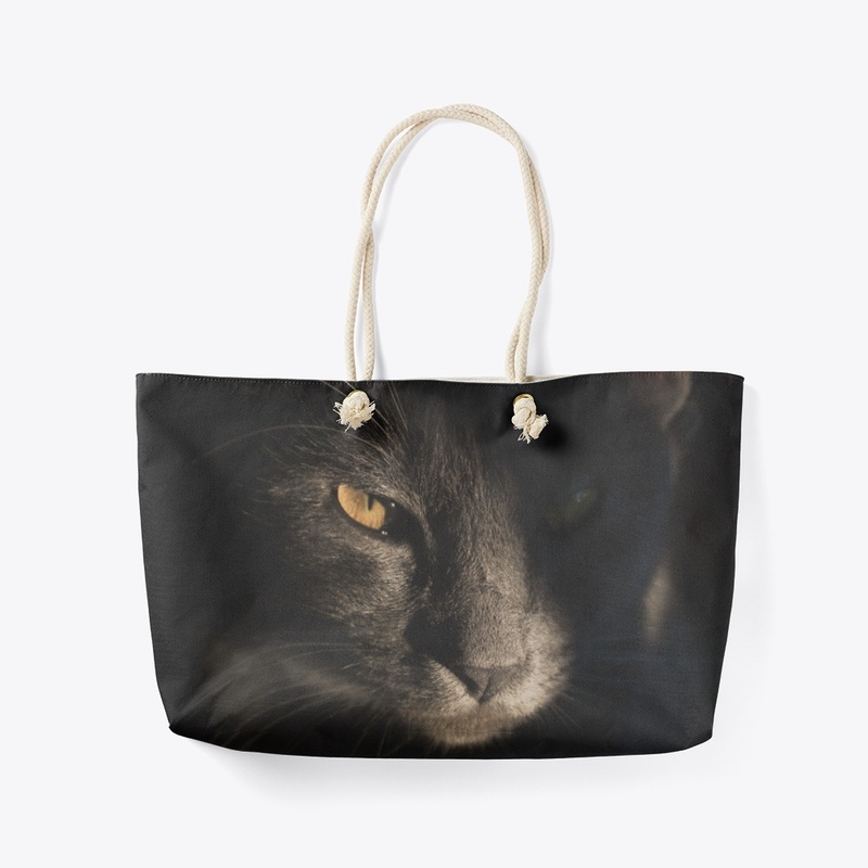 Black Cat