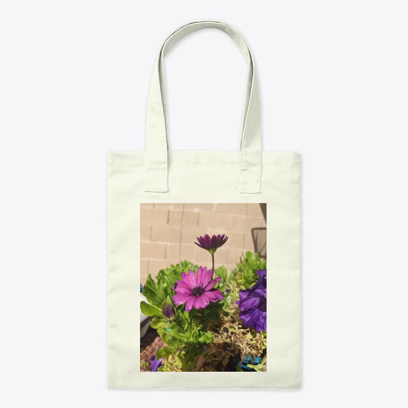 Purple daisy