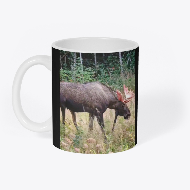 Moose Themed Accessories