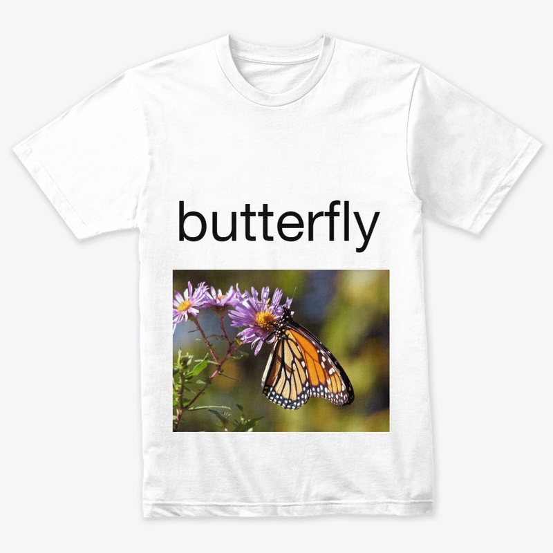 btterfly collection