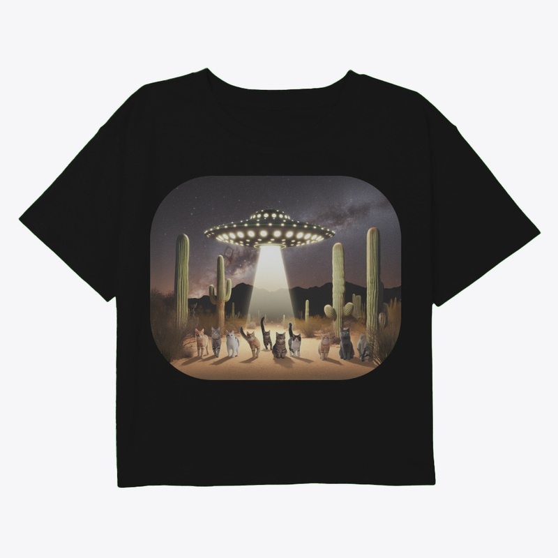 UFO delivering extraterrestrials 