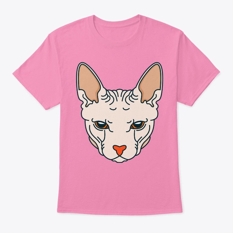 Sphynx cat