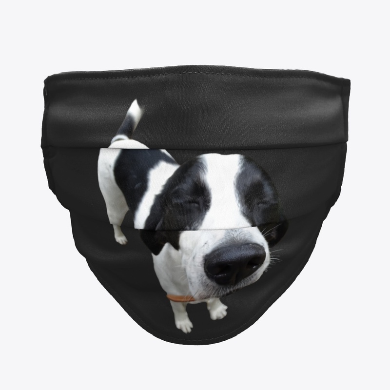 Black and White Dog
