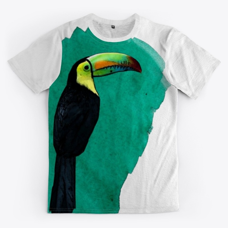 the Painted Toucan