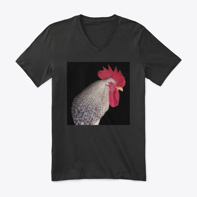 rooster2