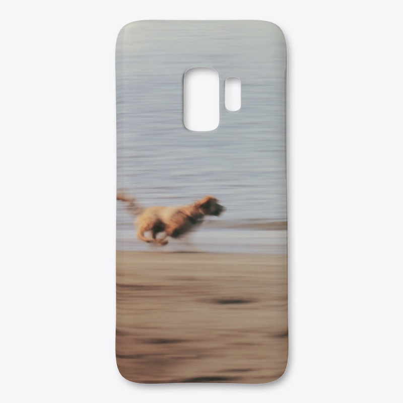 Dog running on beach