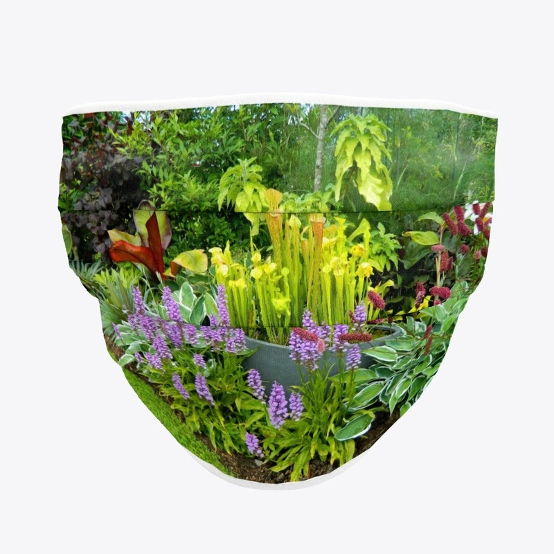 Green Mask Sarracenia