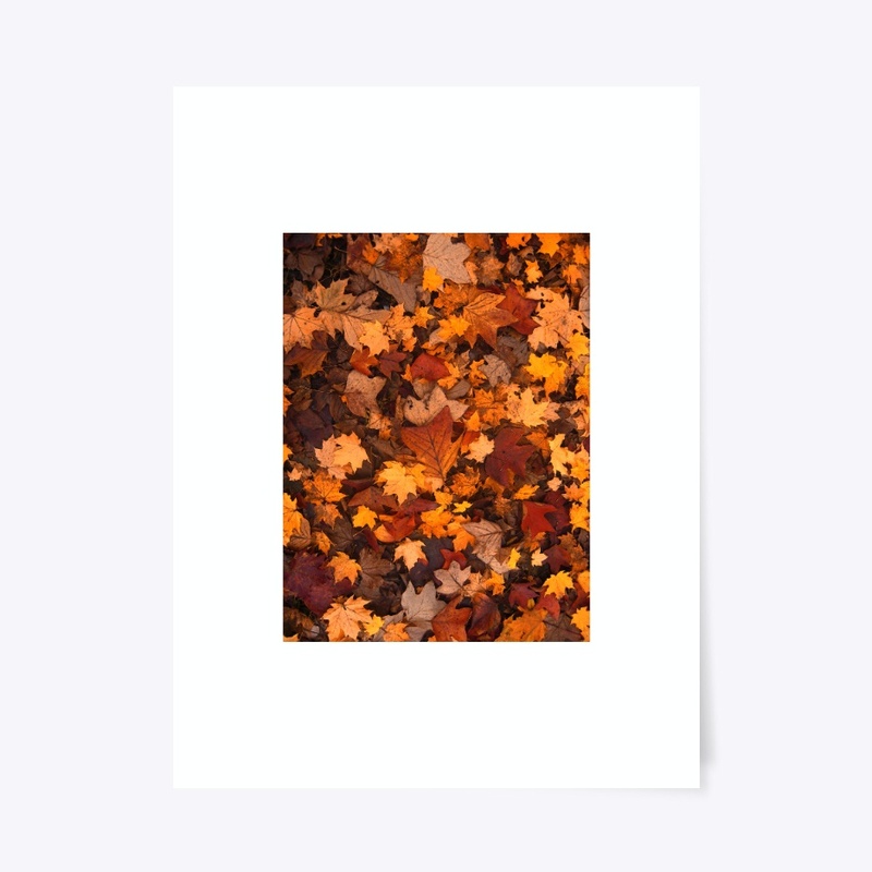 Autumn leaves T-shirts
