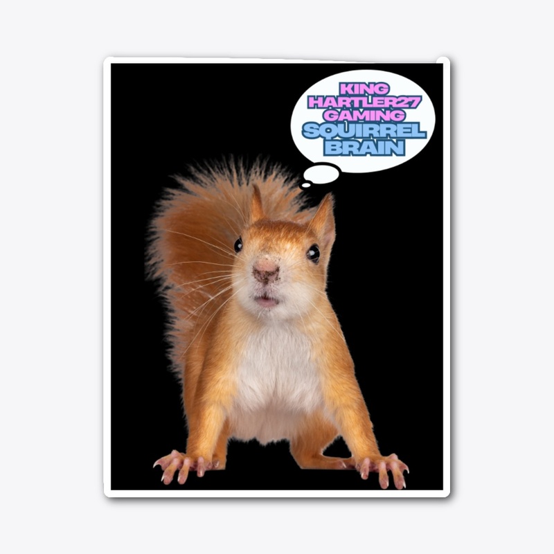 the squirrel brain meme