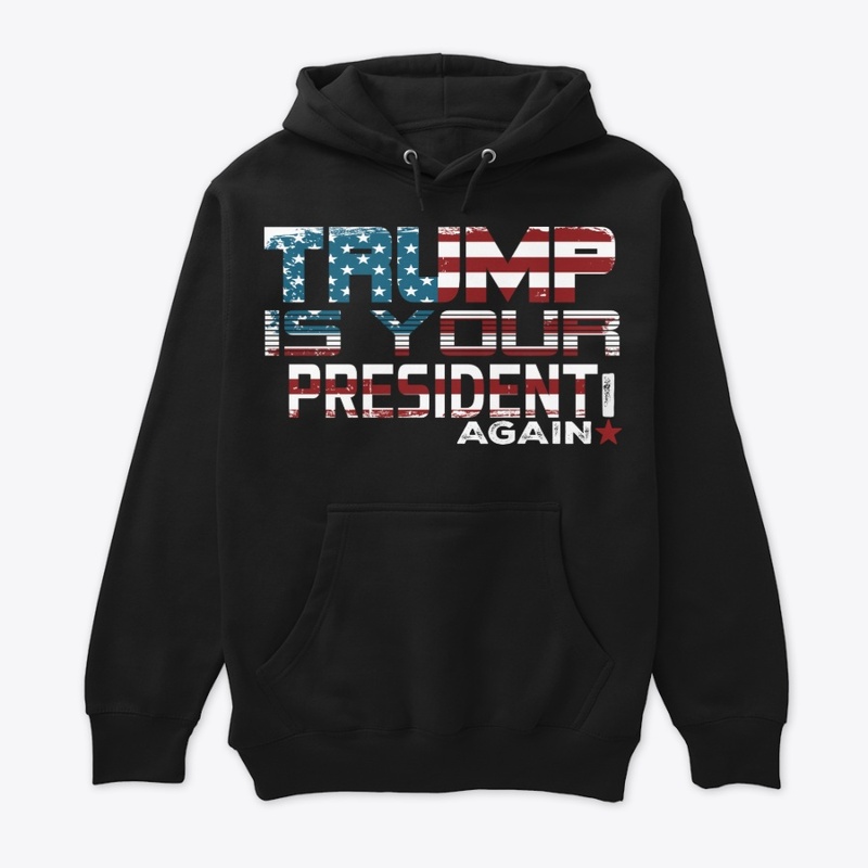 TRUMP IS YOUR PRESIDENT AGAIN!