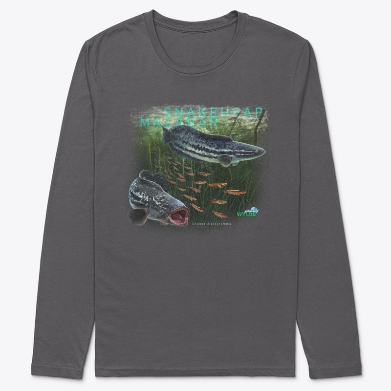 Malabar Snakehead