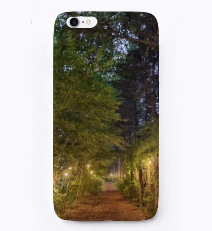 a path in the woods