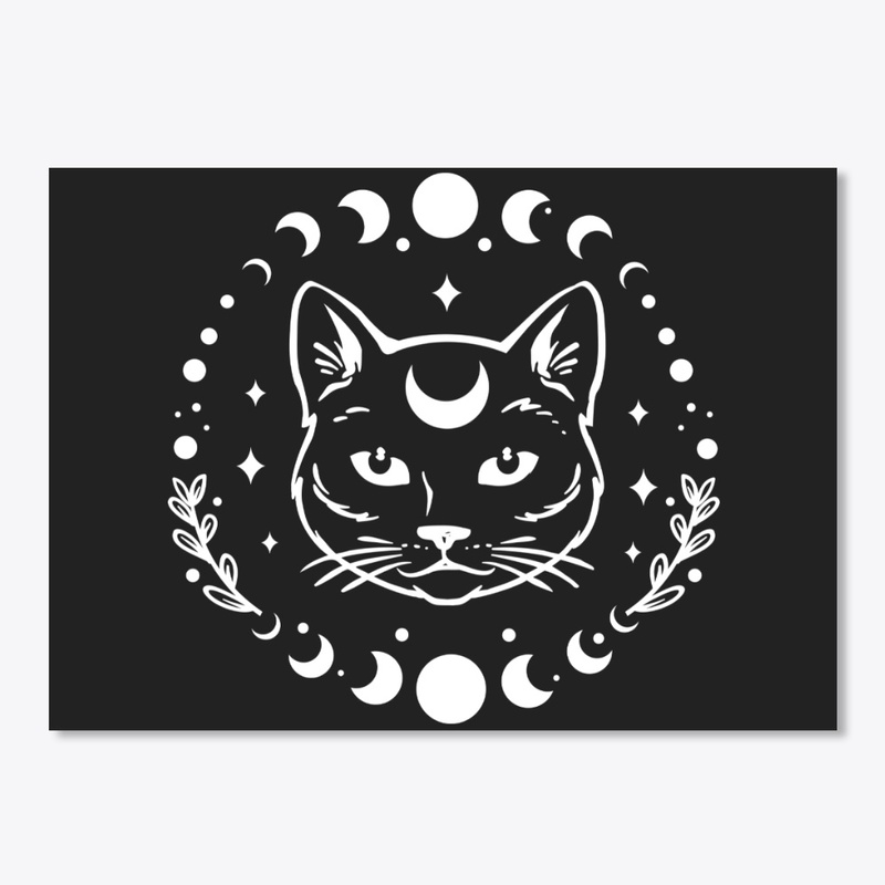moon phases kitty