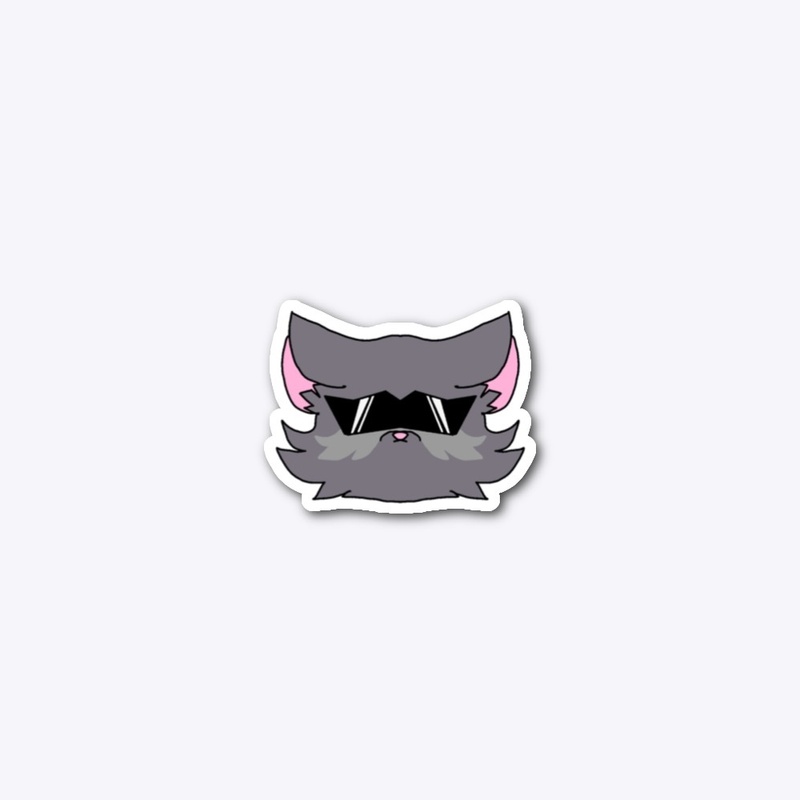 Raccoons are RacCOOL
