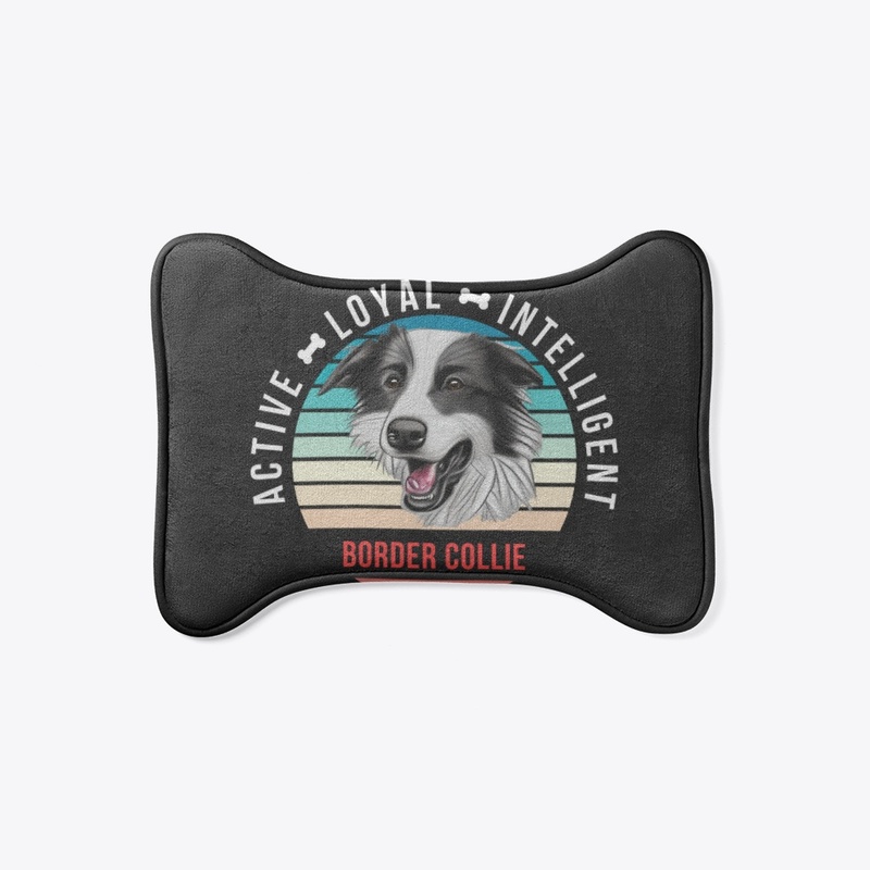 Border Collie - Active, Loyal