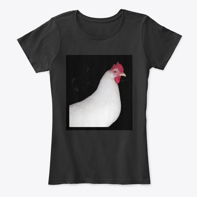 white leghorn hen chicken farm animal