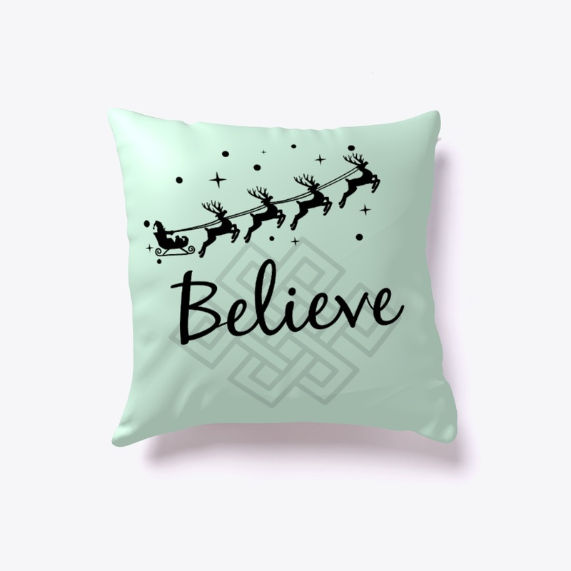 Fly in Belief