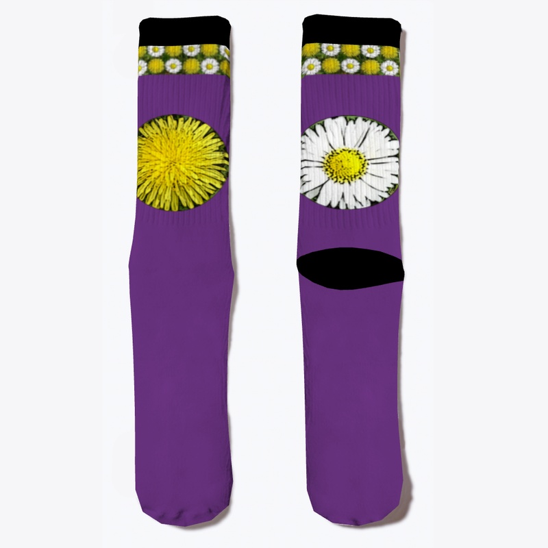 Dandelion and daisy