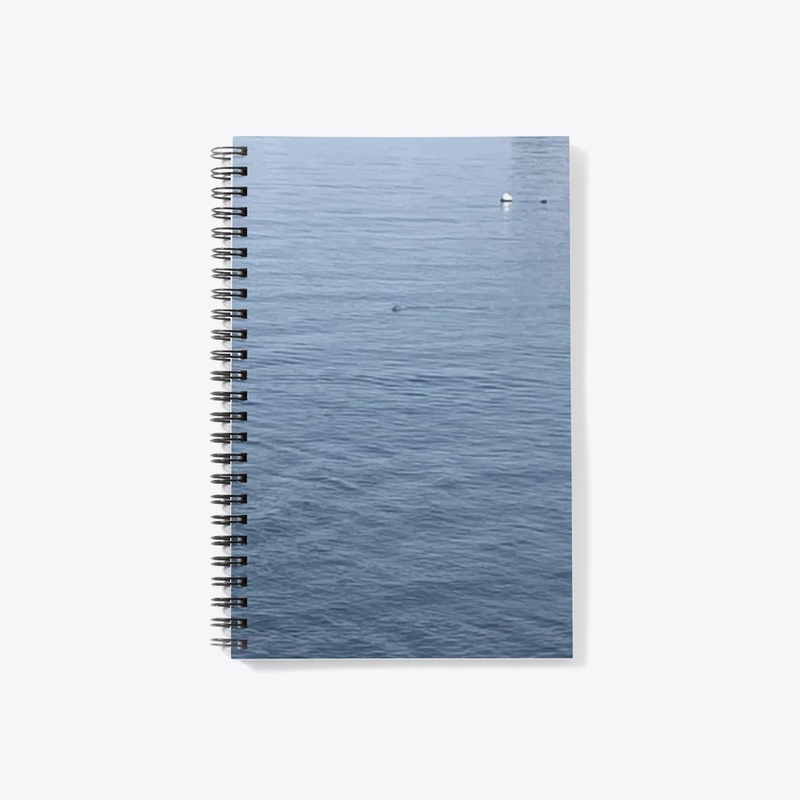 Water 2