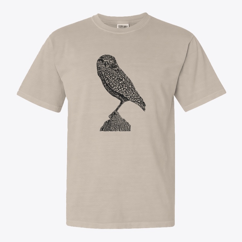 Burrowing Owl