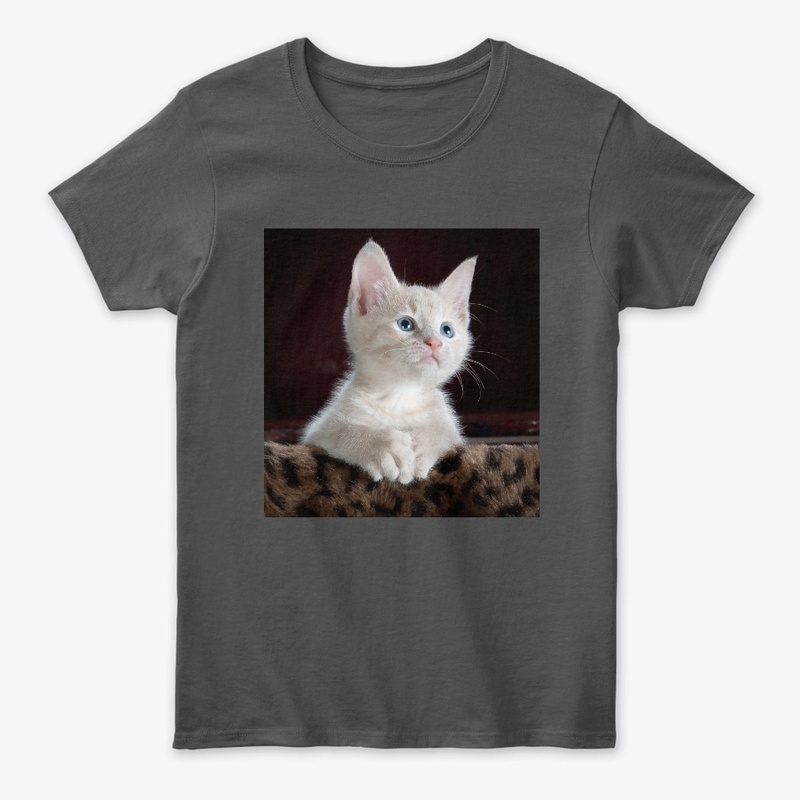cat design