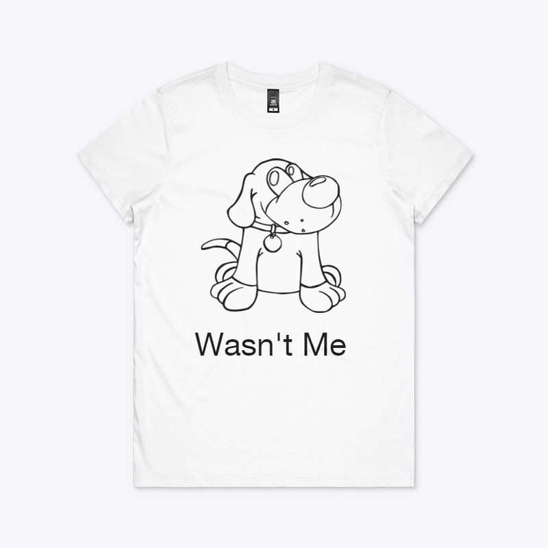 Wasn't Me 
