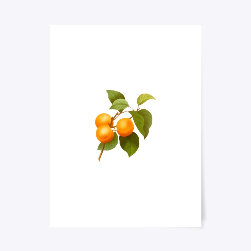 Vintage apricot fruit