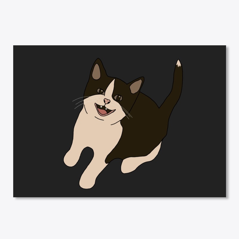 Spooky The Cat Other